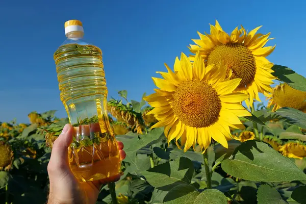 sunflowers-oil